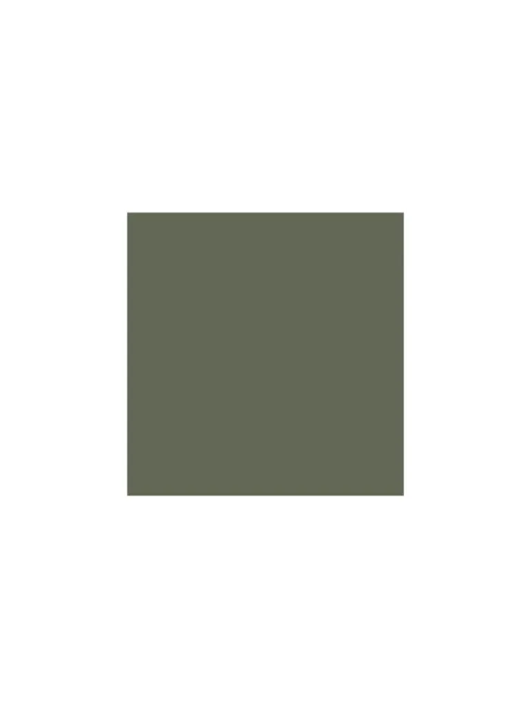 Ascot Green Relaxed Fit Polo T-Shirt