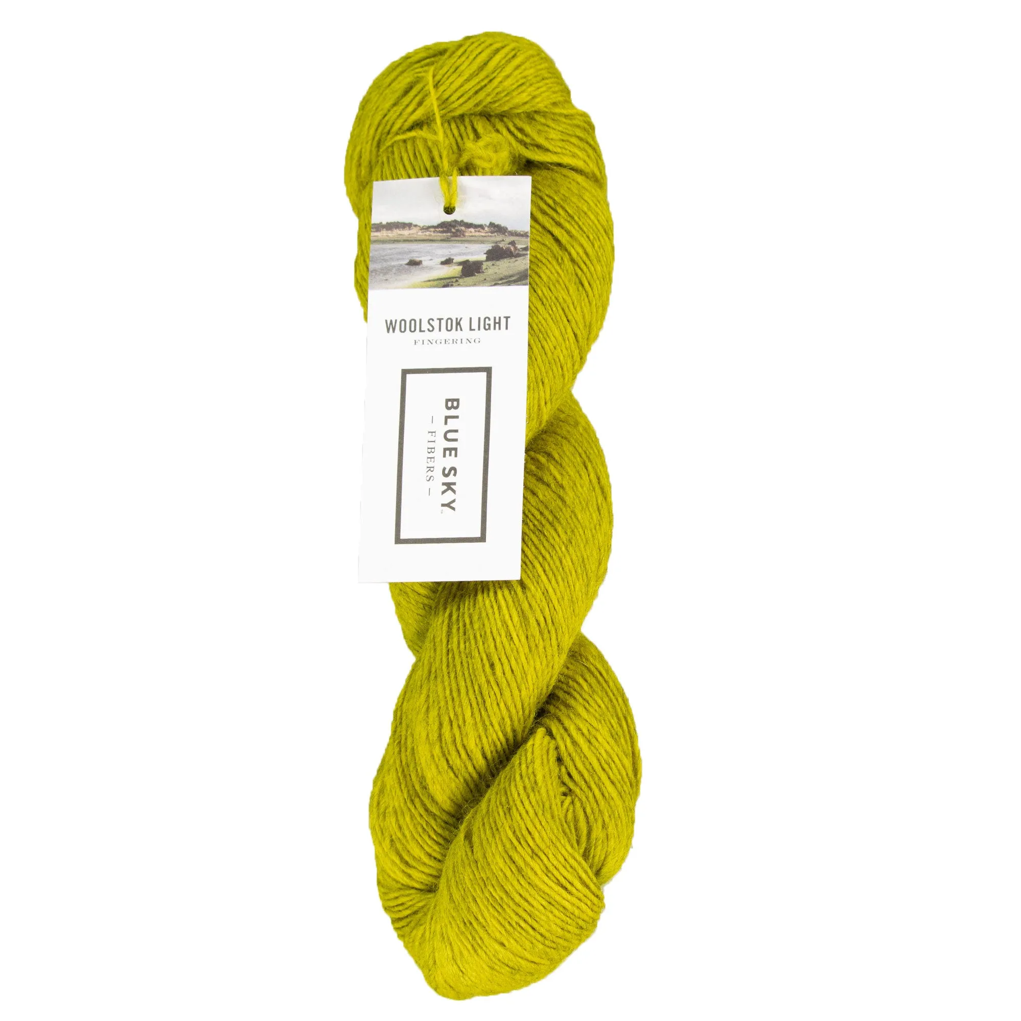 Blue Sky Fibers Woolstok Light Yarn - 2308 Golden Meadow