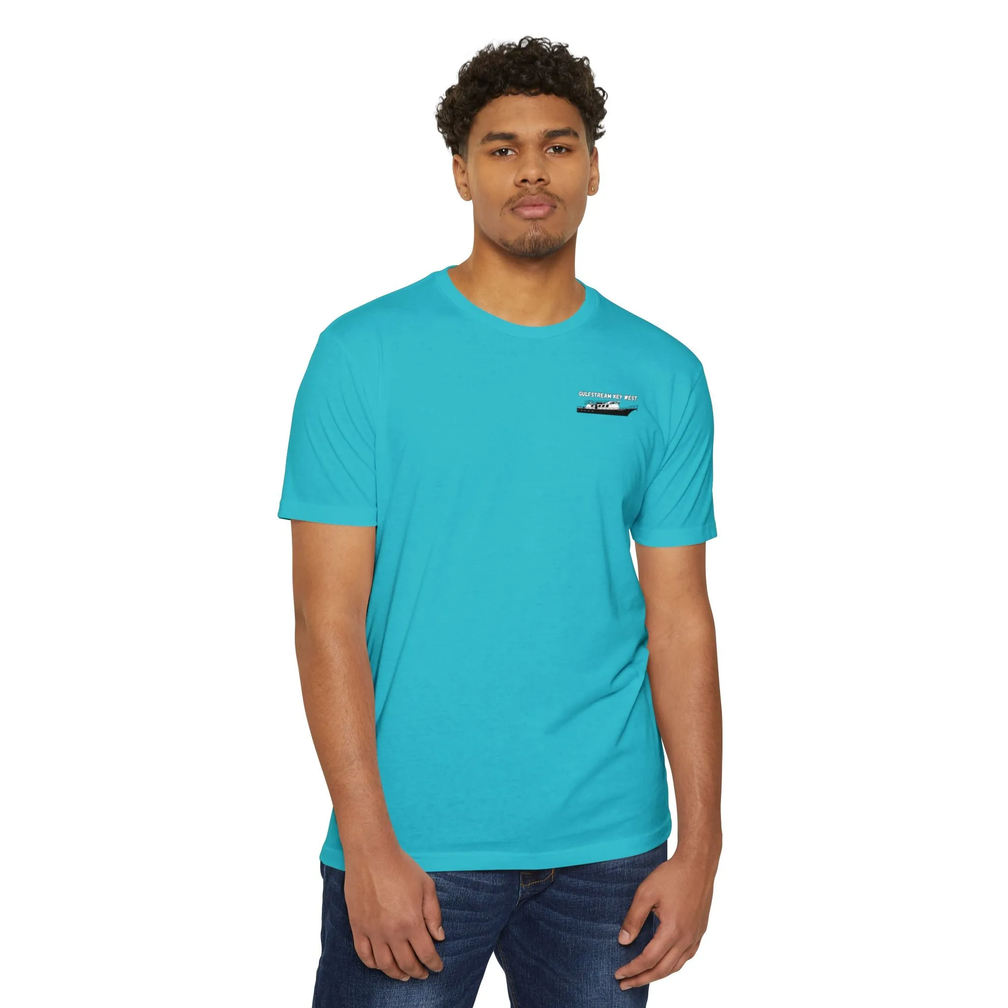 Gulfstream IV T-shirt